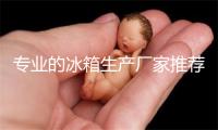 专业的冰箱生产厂家推荐 冰箱选购攻略